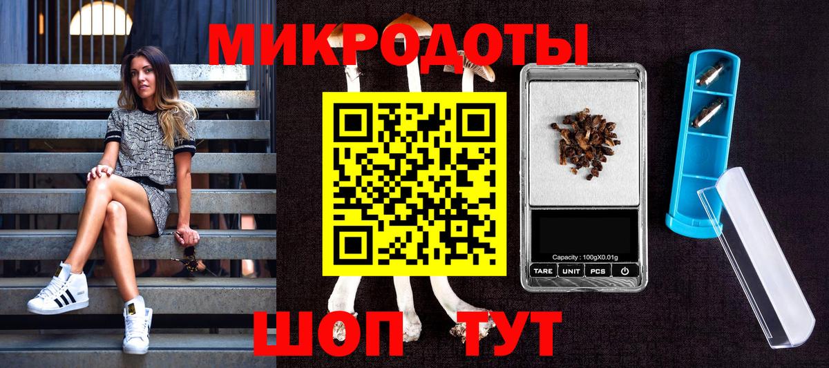 Псилоцибиновые грибы Magic Shrooms  Вход с VPN  Пенза 