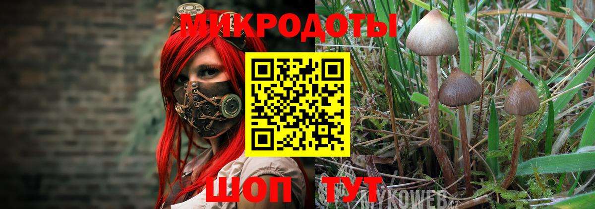 Галлюциногенные грибы мицелий Пенза
