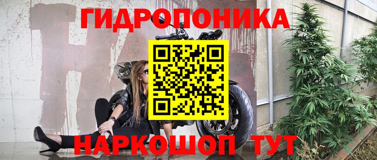 МАРИХУАНА сатива Пенза